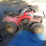 Working in the Forest Most of the Day, Nice