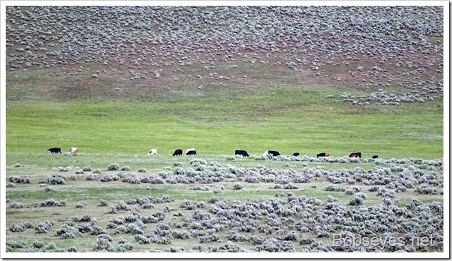 We Stay Another Day at the Stone Corral and Visit With the Rancher