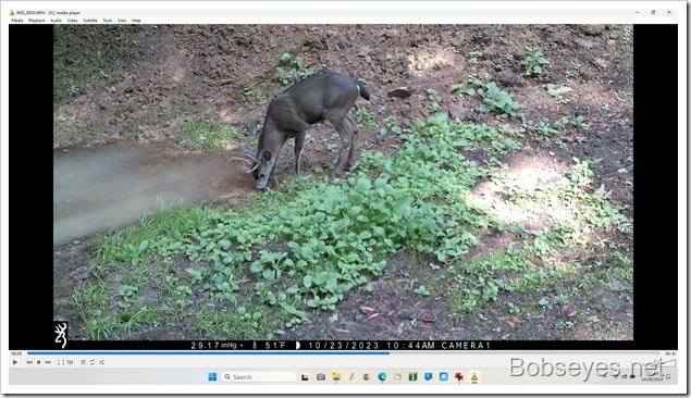 The Bulkhead, a Forest Ride and Game Cam Pictures