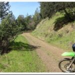 Visiting Busy Neighbors and Some Trail Work road1