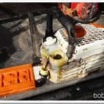 Turned Out To Be a Mushroom Hunting Day saw1