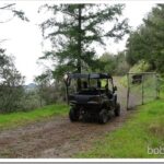 Rain and Hail But Better Than Staying Home All Day gate