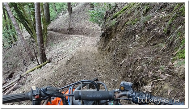 Dozer Start and Cutting Trees Off a Trail