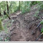 Finished Up This Section Of the Trail trail1