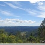 Bumper Work, Bike Ride and the Old BBQ sky1