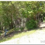 Forest Ride, Harvesting Blue Clay and Raking Out a Road resting