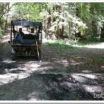 Forest Work, Checking Out Springs rig1