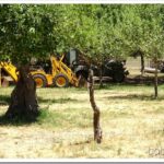 Pot Grower’s Spring Video and New Metal For a Rack rig