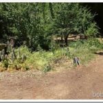 Yard Work and Metal Rack Construction weeds1