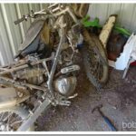 Dirt Bike Idle Fix and Ripe Mulberries bike1
