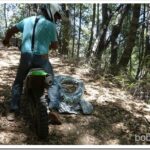 Popped Hearts and a Bike Ride In the Forest hearts1