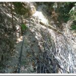 Tree Trimmers and a Ride In the Quiet Forest pipeline12_thumb.jpg