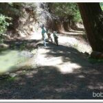 Forest Ride, Gas Can Repair and Maybe Some Frog Eggs pond1
