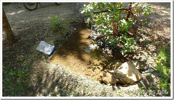 Culvert Problems and Some Mosquito Fish For the Pool