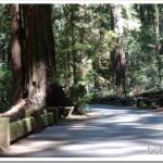 Talking Things Over With the State Parks Guy road1
