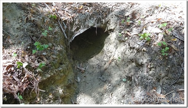 culvert1