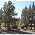 camp1