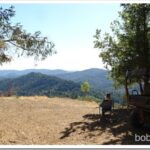 Took My Cousin for a Ride around Her Place and Our Place tp[