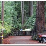 Checking On Roads After Our First Rains of the Year phone