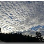 Cutting Up the Big Log That Wouldn’t Move clouds_thumb.jpg