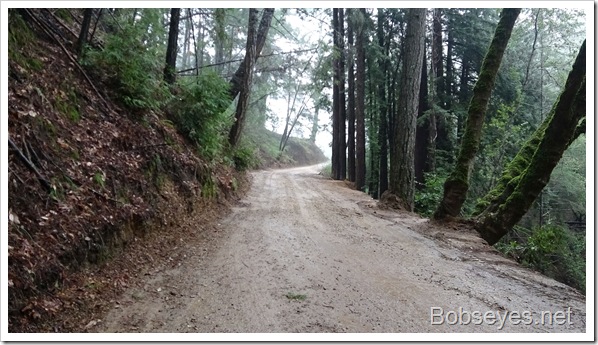 Rainy Day and Checking Out the Old Dirt Road