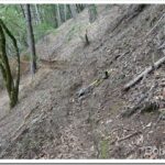 Getting Exercise Working On the Old Trail trail1