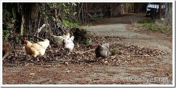 Mostly, Just Enjoying the Day