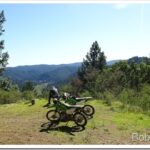 A Real Nice Day To Be Riding Around the Forest overlook1
