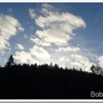 Woodchips and I Repair My Rain Storm Damaged Roof sunset8_thumb.jpg