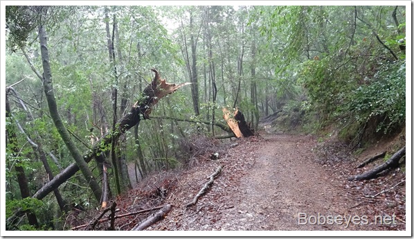 Heavy Rains and the Road Holds Up Fairly Well Heavy Rains and the Road Holds Up Fairly Well