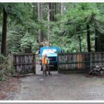 Woodchips and I Repair My Rain Storm Damaged Roof truck1