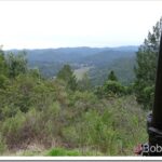 It Only Takes One Little Girl To Keep Us All Busy view11_thumb.jpg