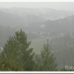 Rainy, Wet, Nice Day For a Ride In the Forest guerneville_thumb.jpg