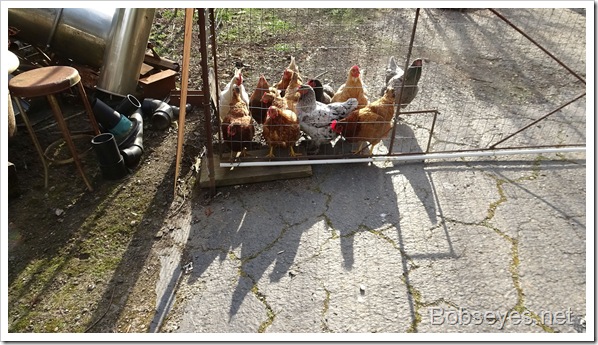 Making Video Clips Of the Work I did On the Old Dirt Road