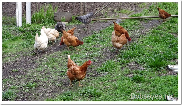 A Ride In the Hills Just After It Rained A Ride In the Hills Just After It Rained