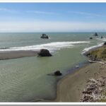 Went To the Ocean, Looking For Some Beef To Buy mouth1