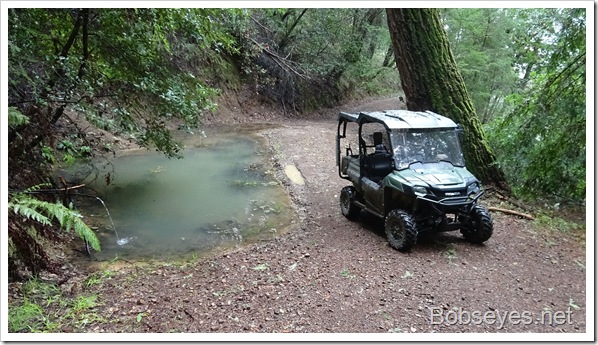 Rain, Beef, Cell Phone Boosters and a Forest Ride
