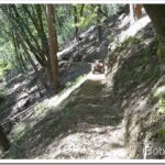 Getting Back To Work On the Old Trail quad2