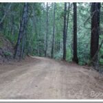 The Road Work Continues, Rocking the Old Road road