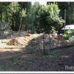 Finishing Up My Road Video Clips and I Try To Compact the Road woodchips1