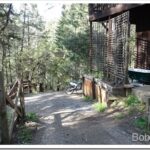 A Day To Visit, But Not To Fix a Flat Tire bike7_thumb.jpg