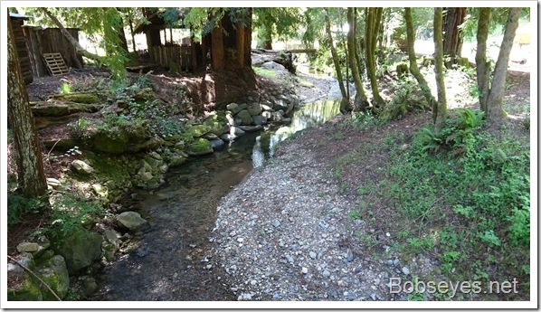 creek3