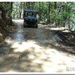 Finishing Off Things On the Old Road, One by One ditch1