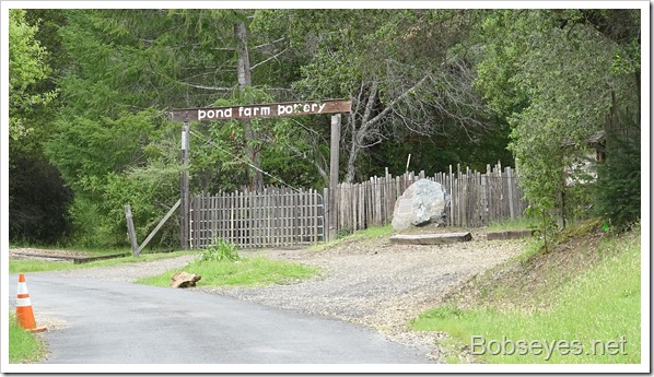 pondfarm4