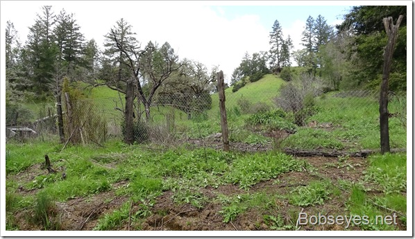 Setting Skiddy Up To Open the Neighbors Road Setting Skiddy Up To Open the Neighbors Road