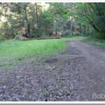 Chainsaw Plans Fall Apart When the Saw Fails To Start road8_thumb.jpg