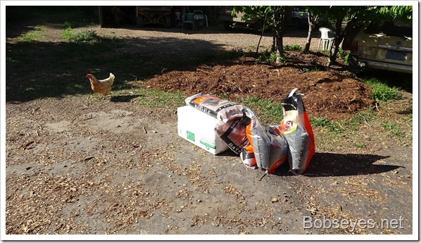 Forest Road Work and Skiddy Has a Problem Forest Road Work and Skiddy Has a Problem