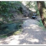 Just a Little Visiting Today pond5_thumb.jpg