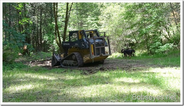 skidder3