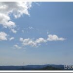 Forest Ride and Skiddy’s Error Codes Solved sky